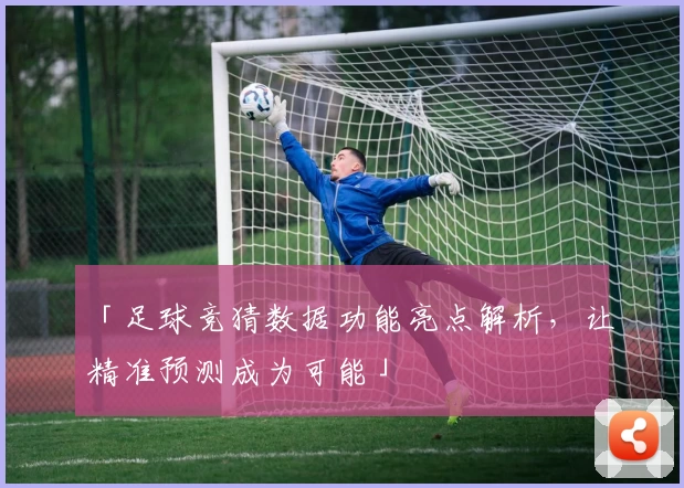 「足球竞猜数据功能亮点解析，让精准预测成为可能」