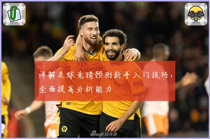 详解足球竞猜预测新手入门技巧,全面提高分析能力