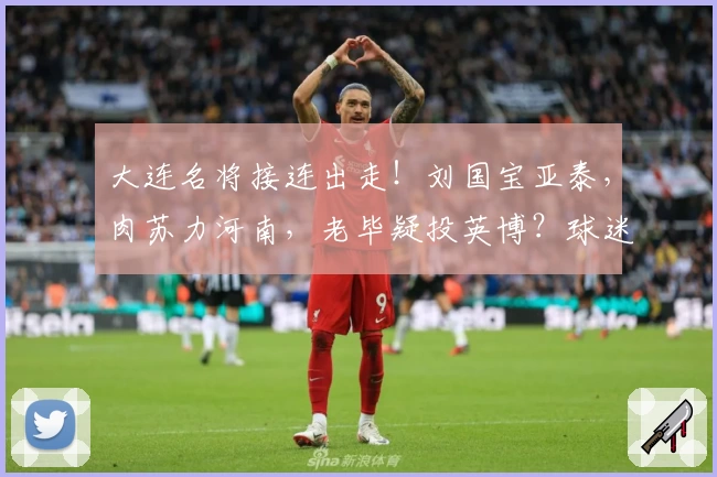大连名将接连出走！刘国宝亚泰，肉苏力河南，老毕疑投英博？球迷怒斥-非养老院-