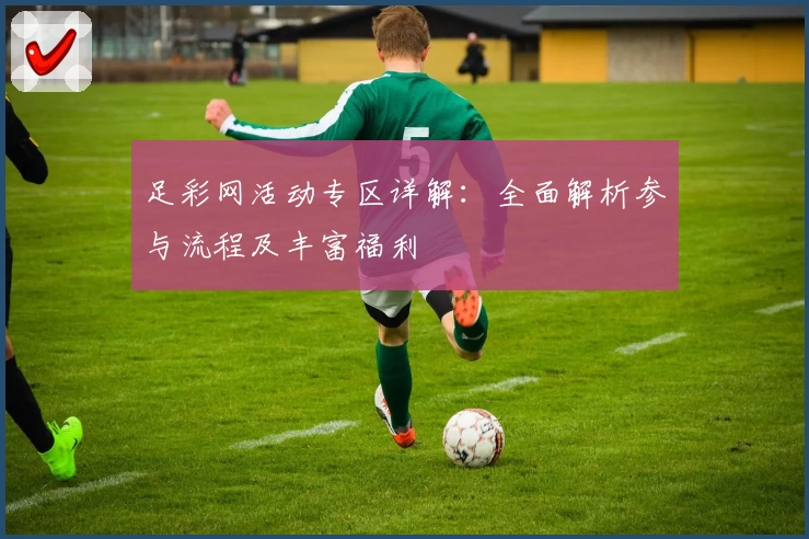 足彩网活动专区详解：全面解析参与流程及丰富福利
